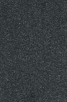 Ковролин AW Vivendi Punch 74 фото 1 | FLOORDEALER